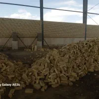 آجرنما بنایی