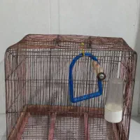 قفس دست ساز به قیمت حراج