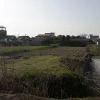زمین مسکونی 3000متری آمل،مازندران،شمال