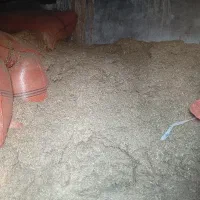 گونی های کاه