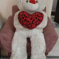 سالم و زیبا خرس
