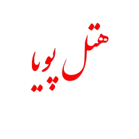 نگهبان شیفت شب هتل