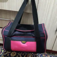 یک ساک سگ ناموسنم دلی یه چیز کمی بگیرموبدم بره