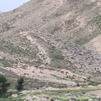 زمین-مشاع-200-متری