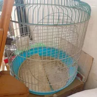 دو قفسه قشنگ