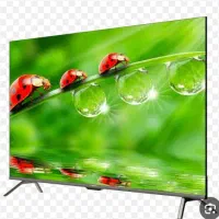 تلویزیون ایکس ویژن پنجاه وپنج اینچ