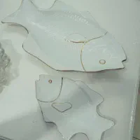 ظروف