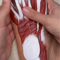 ماساژ مخصوص بانوان