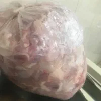 بچه فیله مرغ خورده مرغ