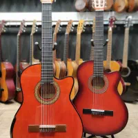 گیتار کاتوی آرم رست دار هافنر گالری موسیقی آرتیا