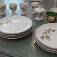 ظروف کلکسیونی ژاپنی الیزابت