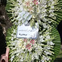 تاجگل ختم کلاسیک|عمده‌فروشی|تهران, آجودانیه|دیوار