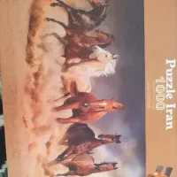 پازل ۱۰۰۰تیکه