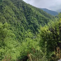 اجاره کلبه دو خواب دربست در دل جنگل رویایی ماسال
