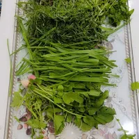 سبزی خوردن  برای استفاده خانه دارومغازه دار