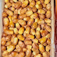 خرما زاهدی