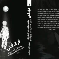 استخدام نویسنده رمان