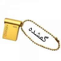فلش گمشده