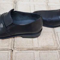 کفش pierre cardin