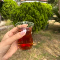 چای درجه یک گیلان/فروش عمده و خرده