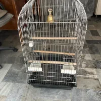 قفس طوطی عروس هلندی کاسکو