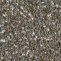 دانه چیا اصل ،سرشار از فیبر ،پروتئن و امگا ۳