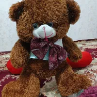 عروسک|اسباببازی بچه|پیشوا, |دیوار
