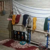دوعدد دار قالی در حد نو به فروش میرسد
