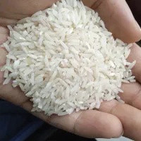 برنج هاشمی دو‌ الکه موجود دارم/شخصی/شالیزار