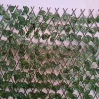 فنس برگی ریحانی رشته ای آکاردئون گرینوال دیوارسبز