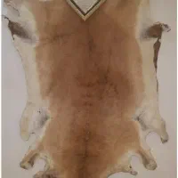 پوست قوچ کوهی