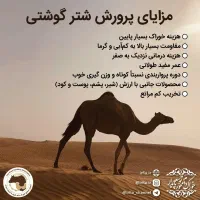 مشارکت در خدمات دامپزشکی