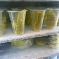 نیروی ماهر ابمیوه و بستنی