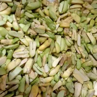 باقالی درجه یک سبز لوبیاسبز و نخودفرنگی