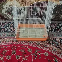 قفس