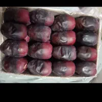 فروش خرما