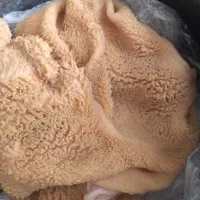 سیرابی،کله پاچه وپف گوسفندی