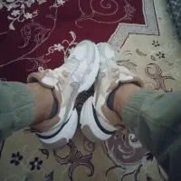 کتونی|کیف، کفش، کمربند|نهاوند, |دیوار