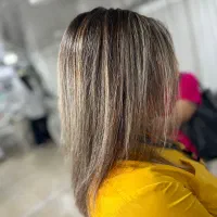 خدمات رنگ و لایت