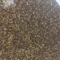 کنجد سیاه تمیز