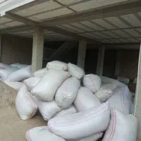 کاه گندم درجه یک