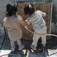 بازسازی و نوسازی ساختمان، طراحی مهندسی