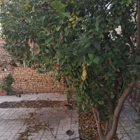 ویلایی-370-متری-اصف