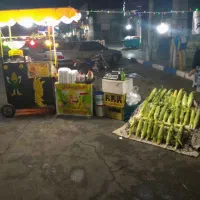 دستگاه بلال تنوری همراه سرخ کن