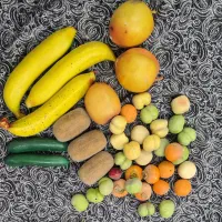 تعدادزیادی میوه مصنوعی