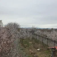 باغ ویلایی اطراف چیچست