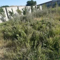 بستان آباد قطعه ویلایی