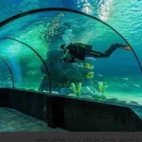 تور شاد اصفهان