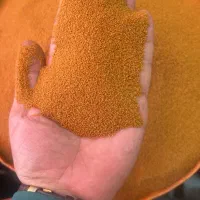 خاکشیر اعلا درجه یک