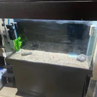 اکواریوم